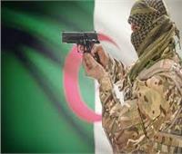 الجزائر: توقيف 11 شخصا يدعمون الجماعات الإرهابية
