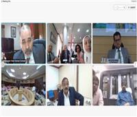 سفارة مصر في نيودلهي تُنظم ندوة إلكترونية لتبادُل أفضل الممارسات بين مصر والهند 