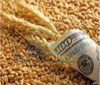  تراجع أسعار القمح عالميا.. و«التموين» تواصل استلام المحصول المحلي 