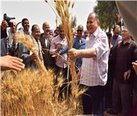 محافظ أسيوط يشهد بدء موسم حصاد القمح بأبنوب ..ويعلن زراعة 230 ألف فدان 