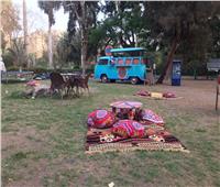 خيمة رمضانية في حديقة الاورمان على هامش معرض الزهور 