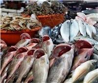 سمك الماكريل و السردين الارخص و الجمبري الجامبو الاعلي سعرا بالاسواق