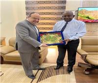 السفير المصري بالخرطوم يبحث مسار العلاقات الاقتصادية مع عضو «السيادة الانتقالي»