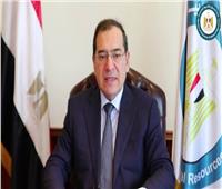 الشبكة القومية للغازات الطبيعية الشريان الرئيسى للطاقة في مصر