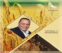 محافظ الشرقية: استمرار توريد القمح إلى صوامع التخزين خلال عطلة العيد 