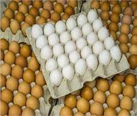 أسعار البيض اليوم الخميس 5 مايو 