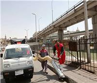  تجميل القاهرة: عربات شفط جمع المخلفات الحديثة تجوب شوارع العاصمة 