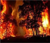 سكان ولاية نيو مكسيكو يفضلون البقاء والدفاع عن منازلهم فى حرائق الغابات