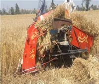لتقليل الفاقد والهدر.. الزراعة تخفض إيجار معدات الميكنة الآلية لحصاد القمح 