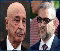 لقاء "صالح والمشري".. جهود مصرية حثيثة لحل الأزمة الليبية