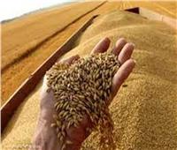 الزراعة : حملات رقابية لمتابعة توريد القمح .. والتصدى للتعديات على الأراضي الزراعيه 