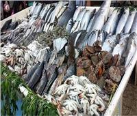 إستقرار أسعار الأسماك فى سوق العبور اليوم .