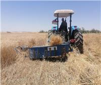 بدء موسم حصاد القمح بمركز التجارب والبحوث الزراعية بجامعة المنيا