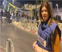 الخارجية المصرية تدين مقتل الصحفية الفلسطينية شيرين أبو عاقلة