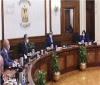 رئيس الوزراء يرحب بخطط  «ستيلانتس» العالمية بالتوسع في السوق المصرية