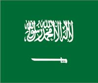 الدول العربية تجدد الثقة في رئاسة السعودية للمجلس التنفيذي لـ«الألكسو»