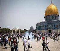 الإمارات تدين اقتحام باحة المسجد الأقصى وتوجه دعوة للسلطات الإسرائيلية