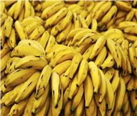 فيديو قديم لـ«دودة سامة» في الموز .. تسبب في ذعر المواطنين