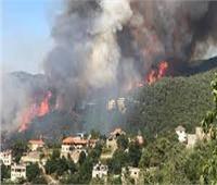 حريق هائل في غابات شمال لبنان والجيش يتدخل