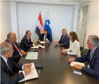 وزير الخارجية يلتقي نظيرته السلوفينية  لتعزيز التعاون المشترك 