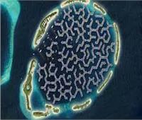 مدينة عائمة في جزر المالديف على شكل جمجمة