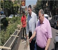 نائب محافظ القاهرة يتفقد تطوير حديقة بالجزيرة الوسطى في شبرا