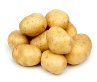 الزراعة :لأول مرة صادرات البطاطس تتجاوز 816 ألف طن منذ يناير حتى الأن
