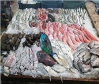  هدوء في أسعار الأسماك بسوق العبور اليوم 