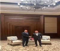 وزير الخارجية الروسي يلتقي نظيريه الصيني والتركي على هامش «العشرين»