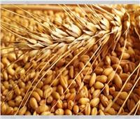 الهند تفرض قيودًا على صادرات طحين القمح