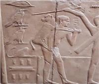 مقبرة "كاجمني" بسقارة تؤكد رفق المصريين القدماء بالحيوان