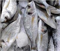 «تموين القليوبية» تضبط 2.7 طن أسماك مجمدة مجهولة المصدر