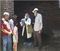 تحصين ٦٠٥٣ رأس ماشية  ضد مرض الحمي القلاعية فى الأقصر