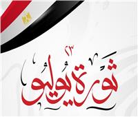 حسين زين يهنئ الرئيس بذكرى ثورة ٢٣ يوليو