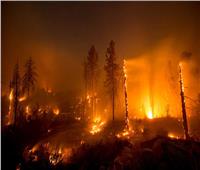 حرائق غابات كاليفورنيا تلتهم عشرات المباني وتهدد آلاف الأشخاص