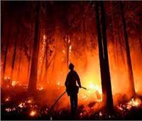 كاليفورنيا.. إجلاء الآلاف مع انتشار حريق غابات
