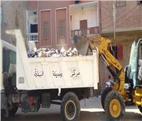محافظ أسيوط :استمرار حملات النظافة بقرى مراكز ساحل سليم وديروط وصدفا وأبنوب 