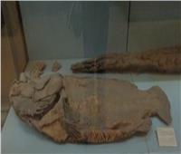 باحثة أثرية: «تل المقدام» بالدقهلية يكشف أهمية الأسماك في مصر القديمة