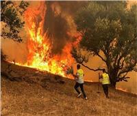 الجزائر تعلن السيطرة على حرائق الغابات بعدد من الولايات