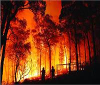 حريق الغابات يهدد غاز الأكسحين على كوكب الأرض