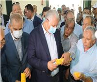 وزير الزراعة ومحافظ كفرالشيخ يتفقدان محطة البحوث الزراعية بسخا