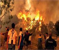 ارتفاع حصيلة ضحايا الحرائق في الجزائر إلى 43 قتيلا