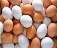      استقرار أسعار البيض اليوم