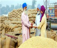 الهند تفرض قيودًا على تصدير القمح للحد من ارتفاع الأسعار
