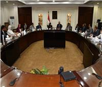 وزيرا الإسكان والهجرة يبحثان سبل التعاون المشترك لإتاحة فرص الاستثمار العقارى للمصريين بالخارج 