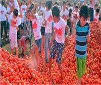 مهرجان التراشق بالطماطم فى اسبانيا .. ضحك ولعب وسياحة