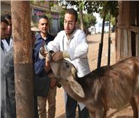 جامعة السادات تطلق قافلة بيطرية وزراعية  لقرية "شبشير "  ضمن "حياة كريمة"