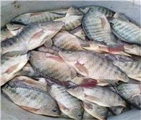 أسعار الأسماك مستقرة في سوق العبور اليوم 