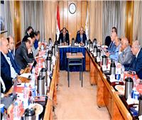 وزير التجارة: مراجعة السياسة الصناعية لمصر بالتنسيق مع مجتمع الأعمال 