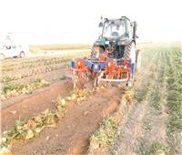 المزارعون «كلمة السر» في دعم الاقتصاد ومواجهة التحديات